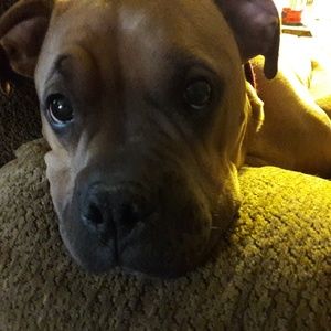 Meet your Posher, Brian